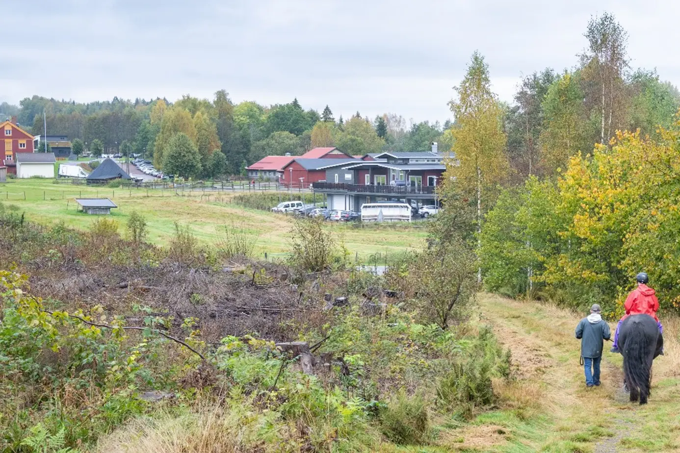 Et par personer som går med hest på en grussti på et jorde