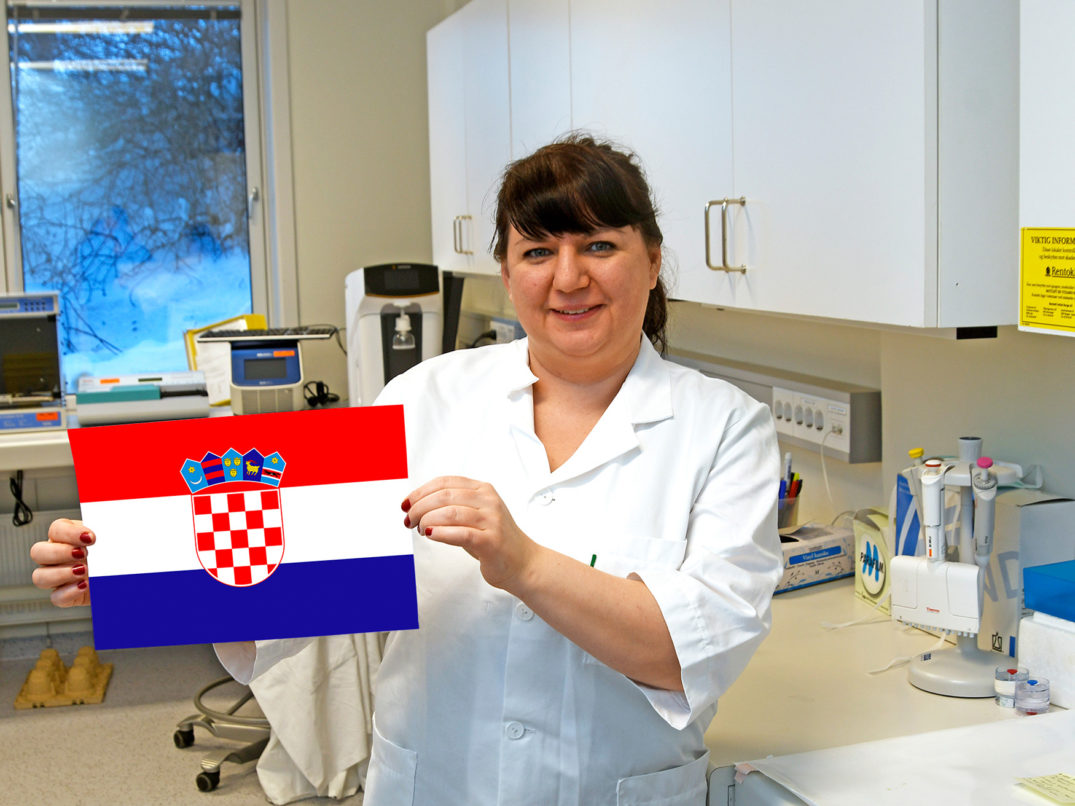 En person som holder et flagg