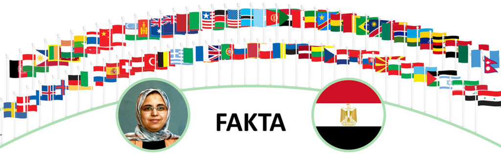 utlendinger egypt Mohamed vignett