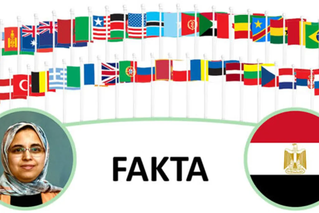 utlendinger egypt Mohamed vignett