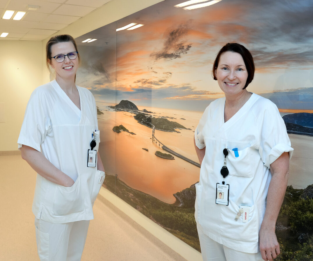 Et par kvinner iført hvite skjorter og merker står foran et stort maleri