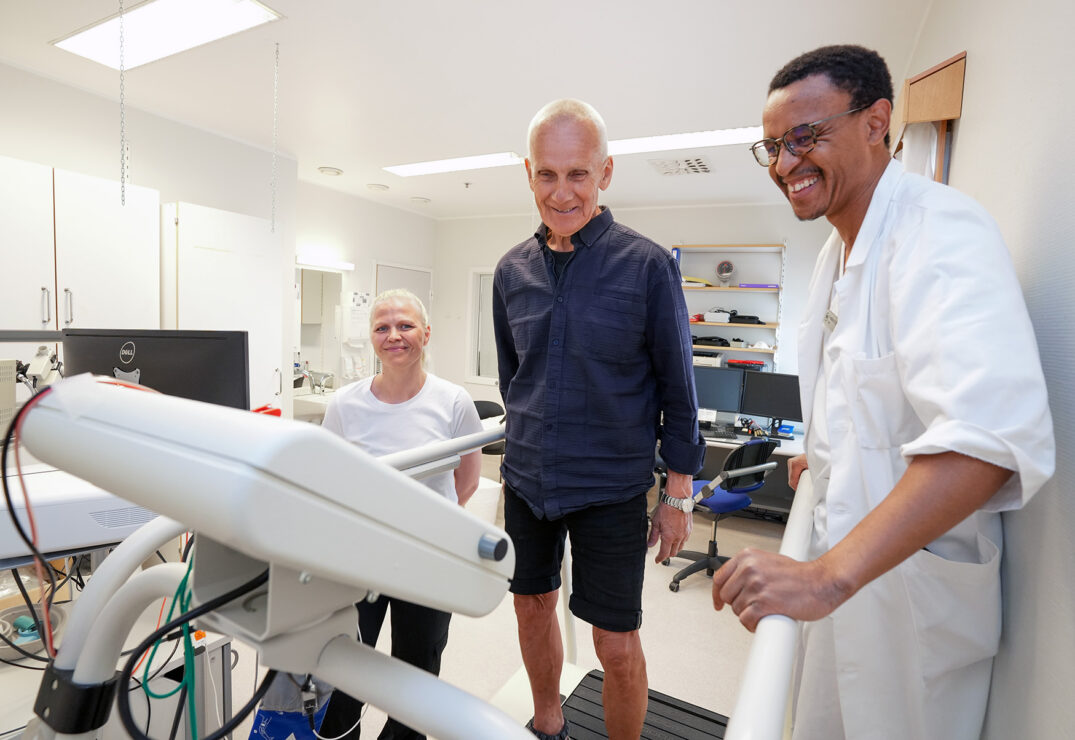 hjerteflimmer skog 1