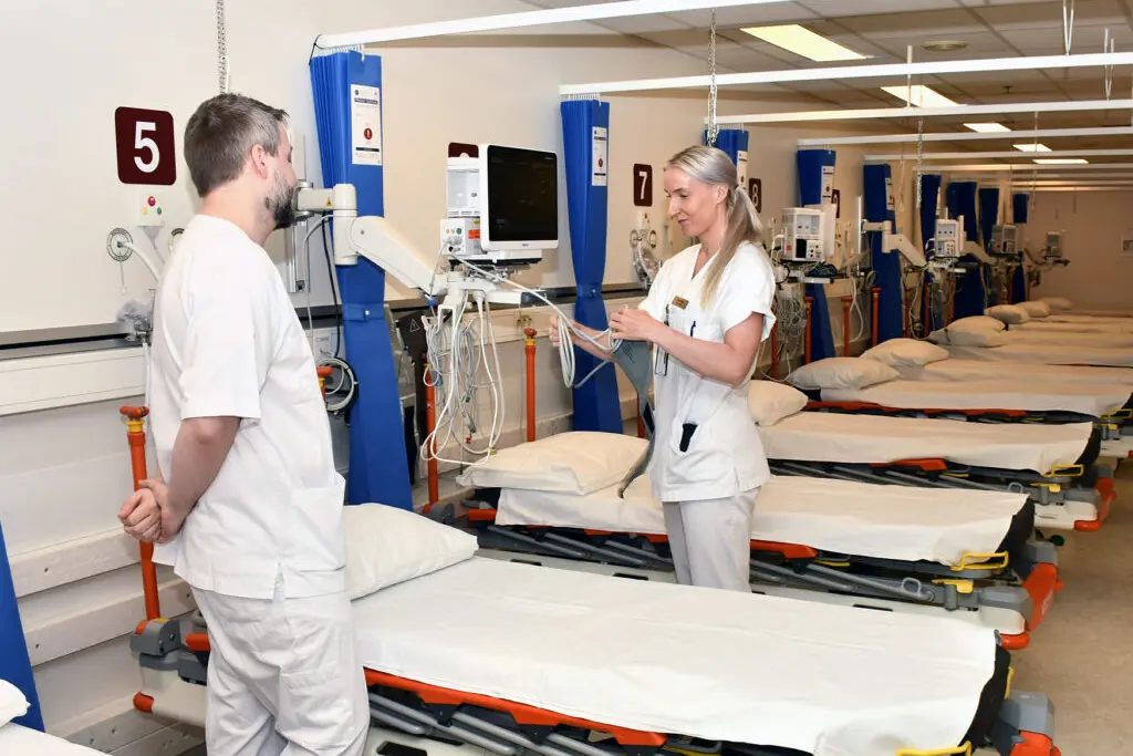 Skrøpelighetsvurdering (11)