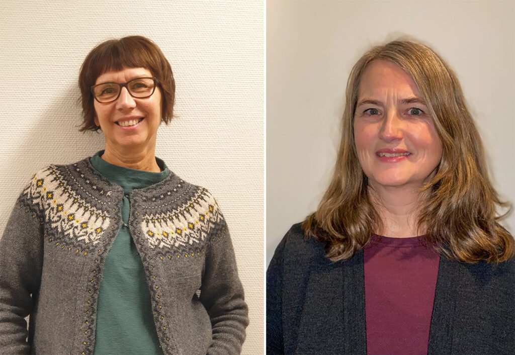 smerteavdelinga kompetansetrappa