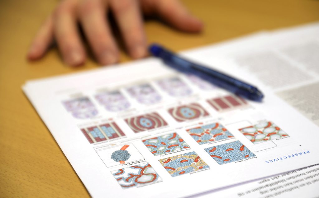 En person som skriver i en bok