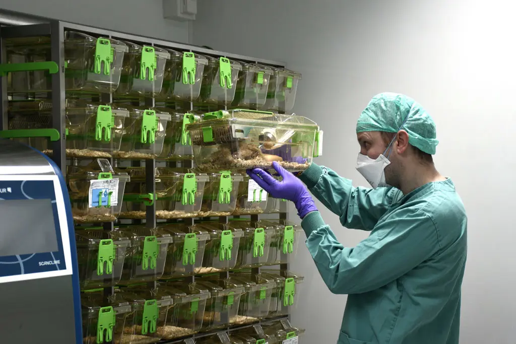 En mann med maske og hansker i et rom med hyller fulle av produkter