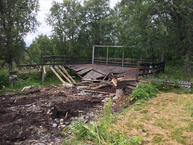 En trekonstruksjon i et skogkledd område