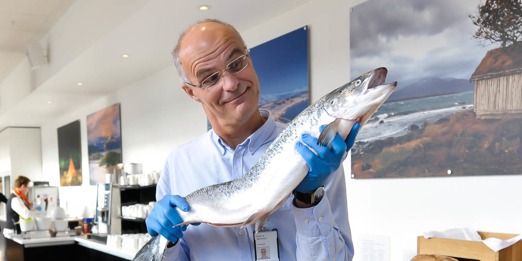 En person som holder en fisk