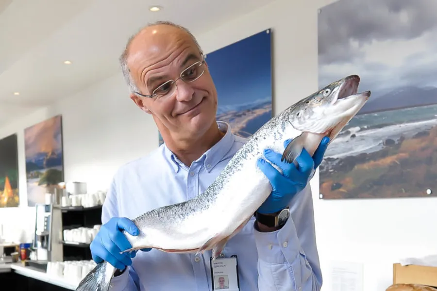 En person som holder en fisk