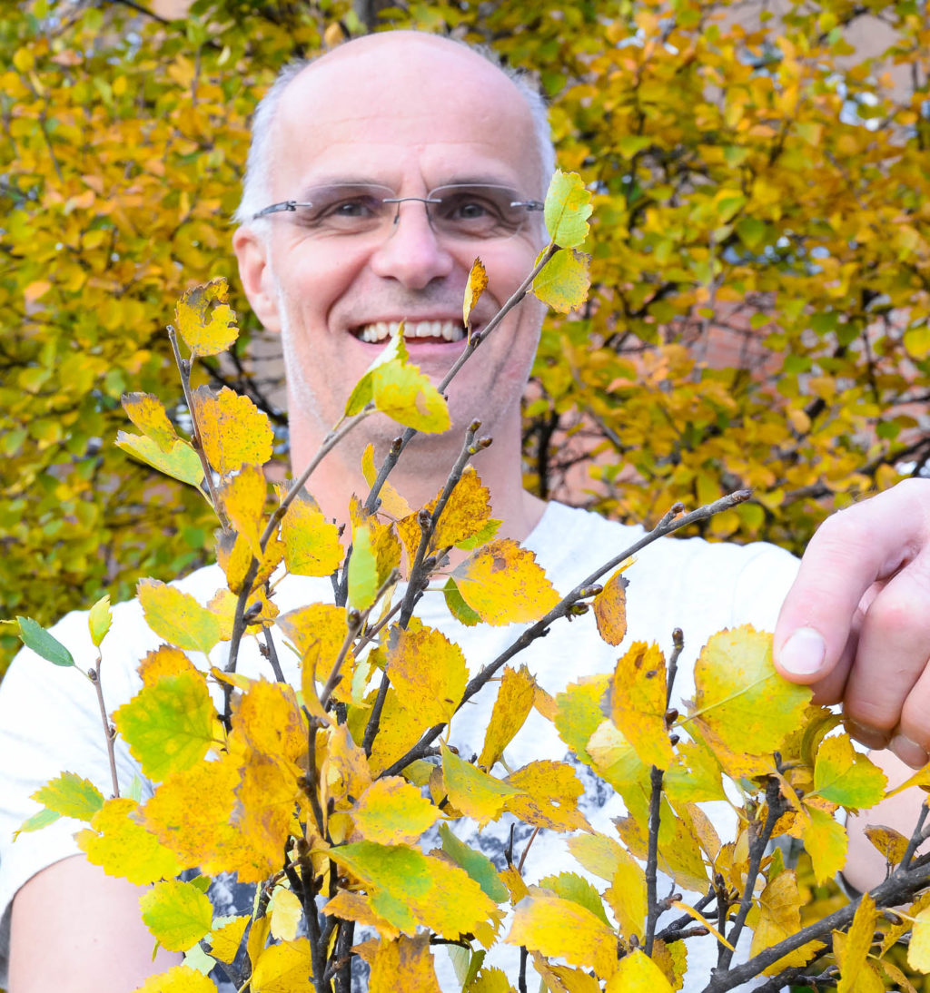 En person som holder en plante