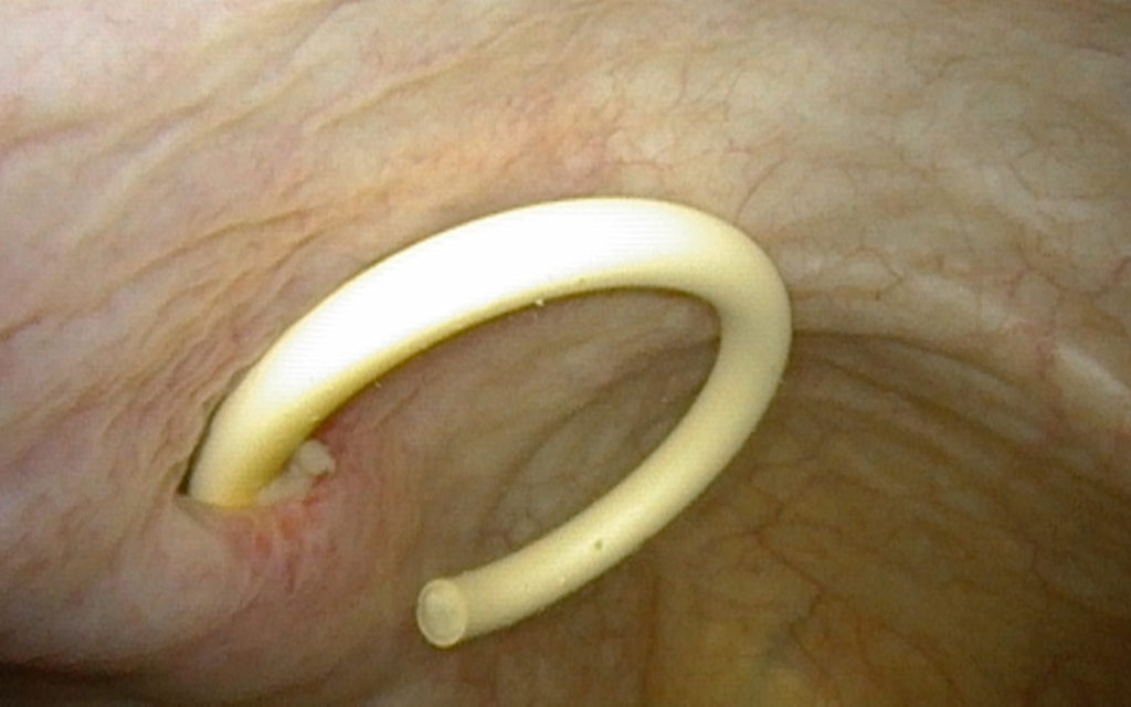 En hånd som holder et hvitt objekt