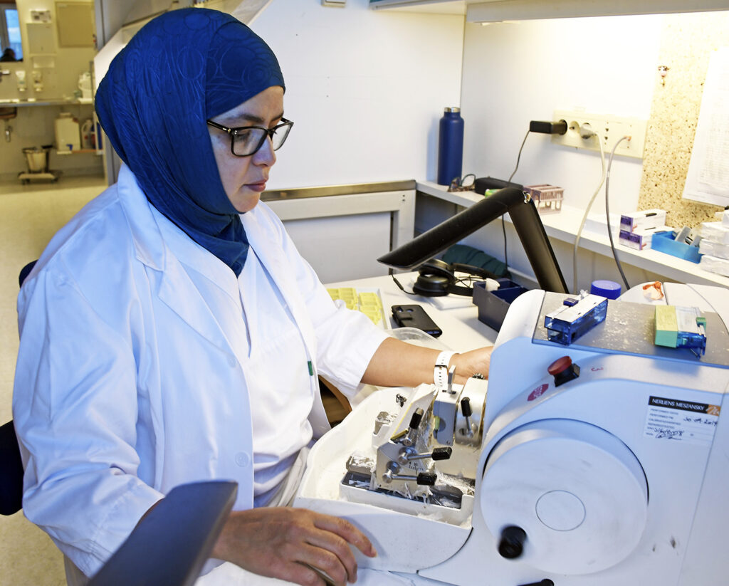 utlending Marokko Hakima Mabrour 9