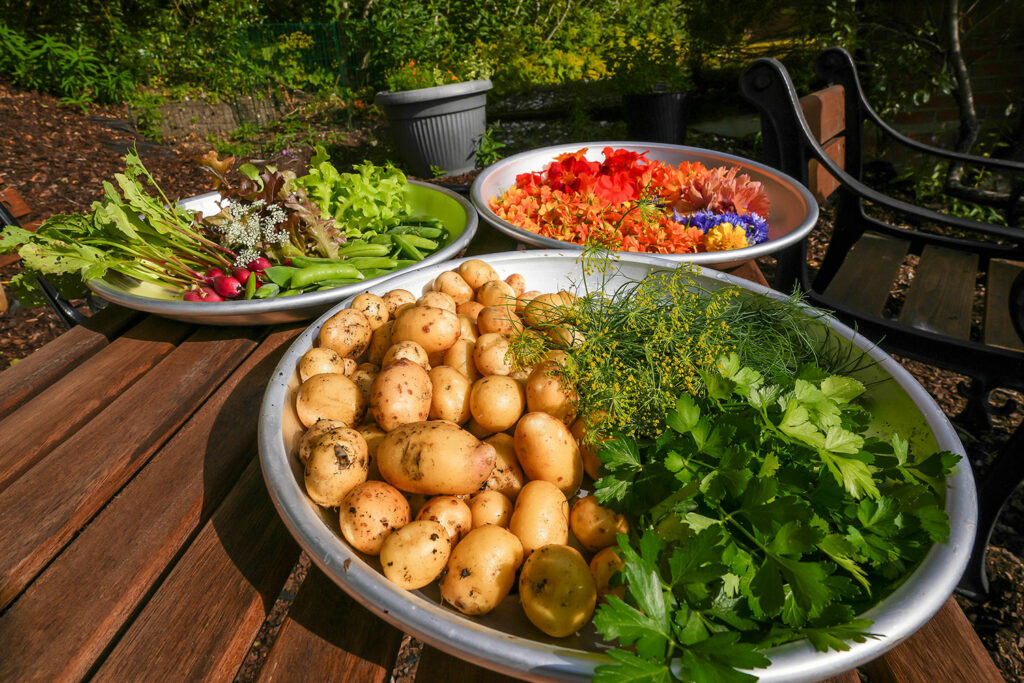 Kjøkkenhagen 15 web