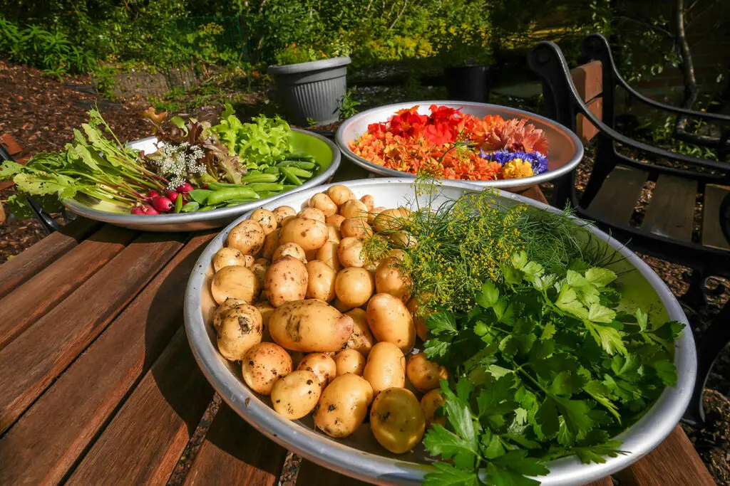 Kjøkkenhagen 15 web