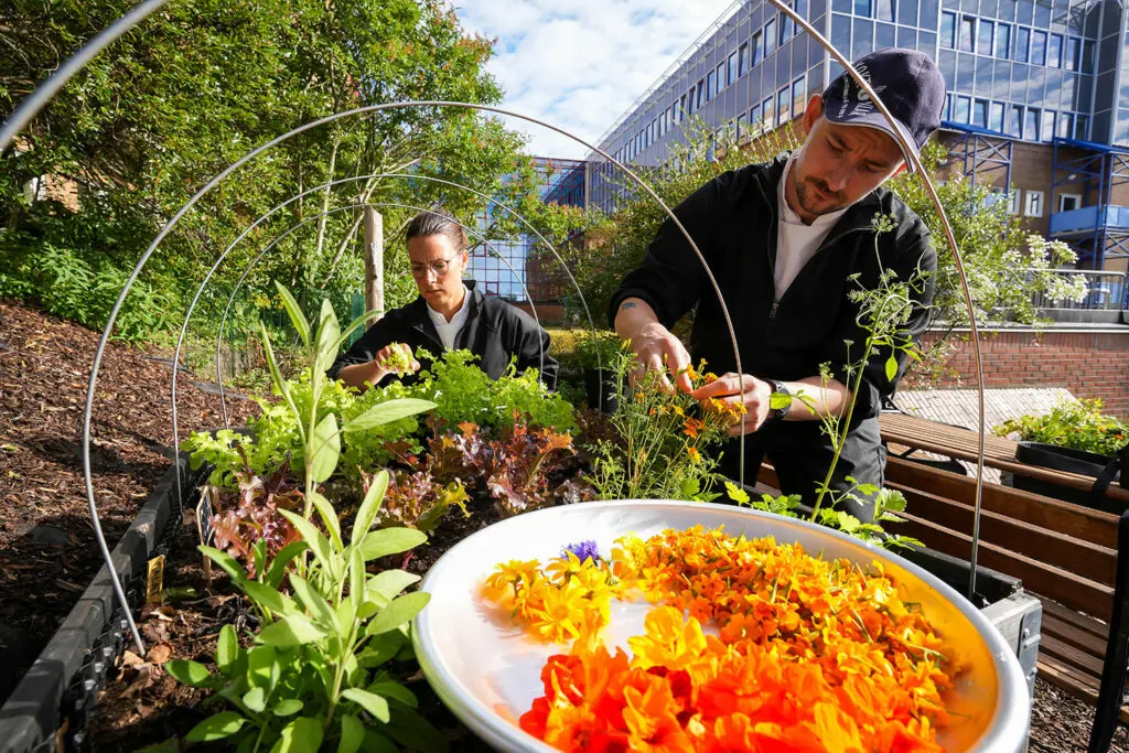 Kjøkkenhagen 14 web