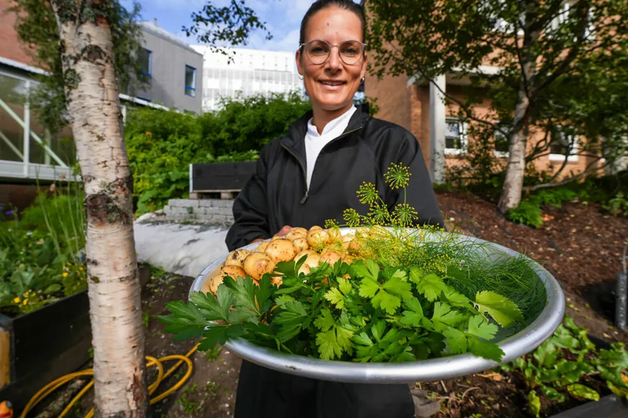 Kjøkkenhagen 12 web