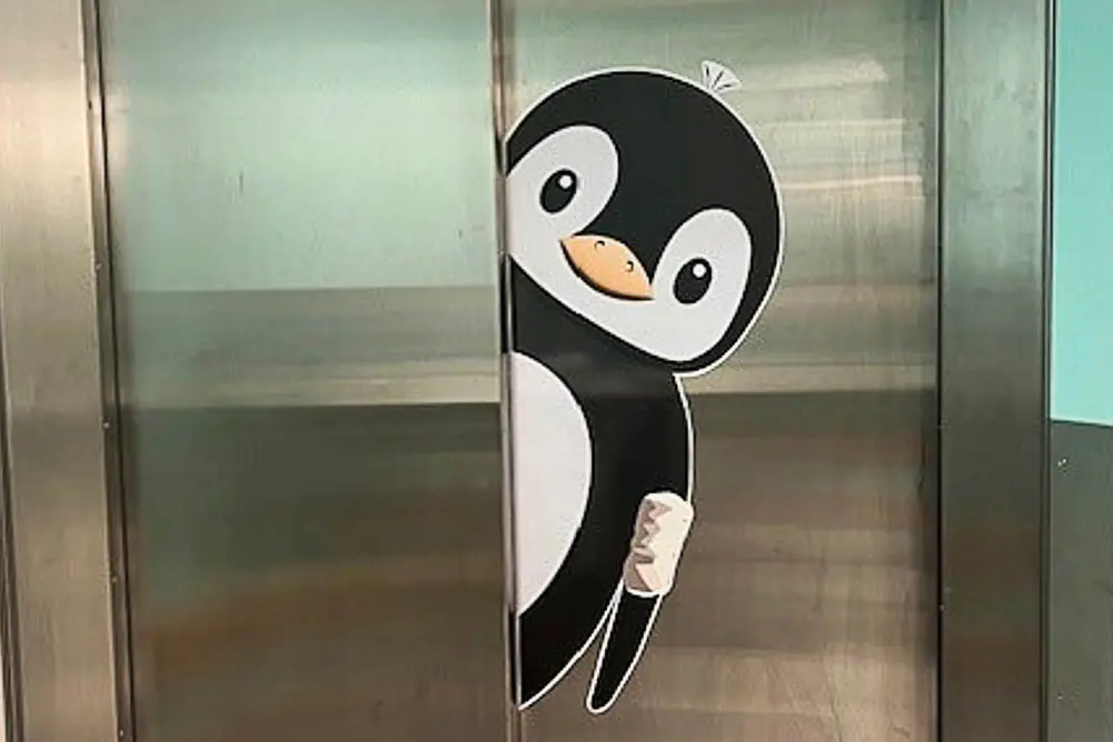 Pingvin-motiv på heisdør