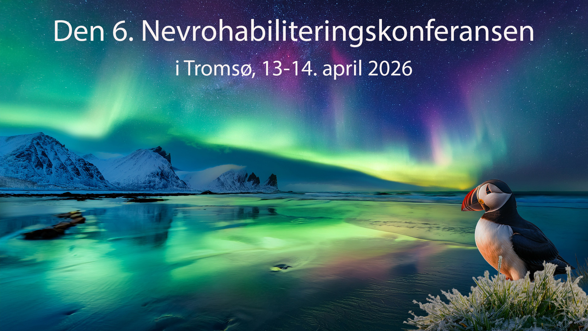 En pingvin foran en innsjø med grønne lys på himmelen