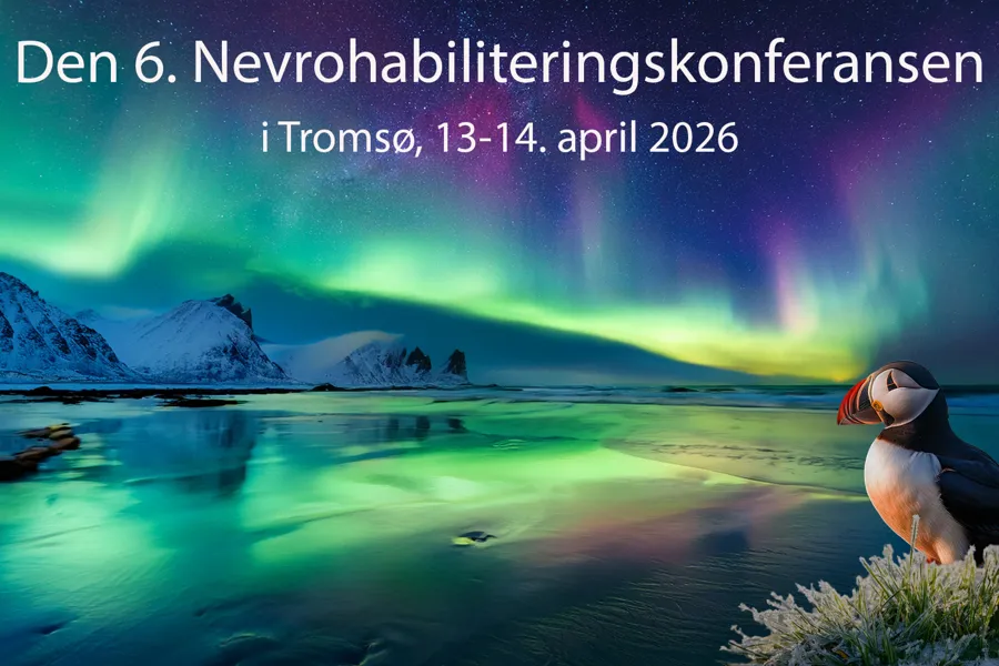 En pingvin foran en innsjø med grønne lys på himmelen