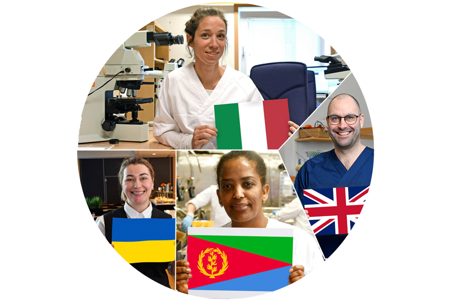 En gruppe mennesker som holder flagg