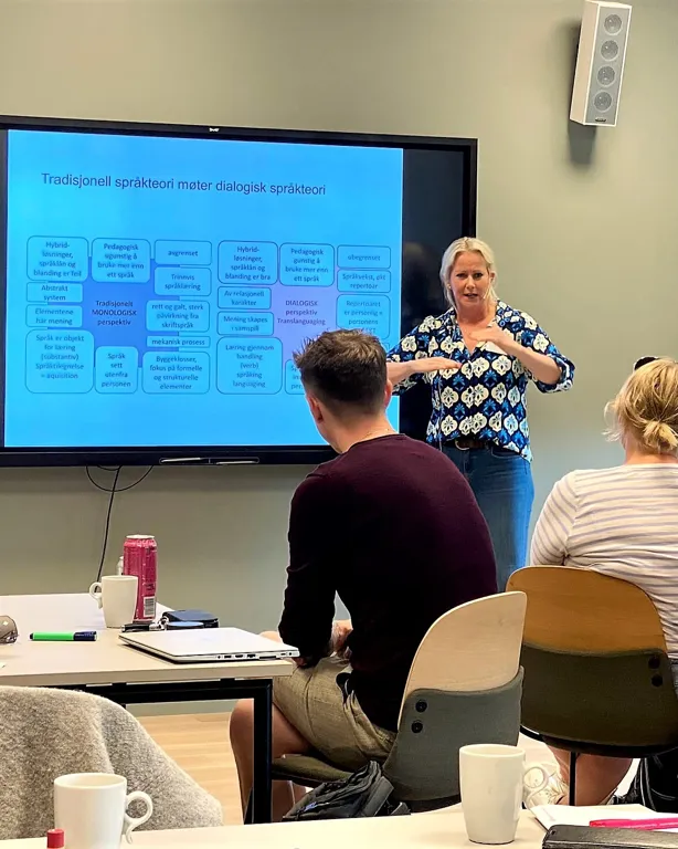 En person som holder en presentasjon