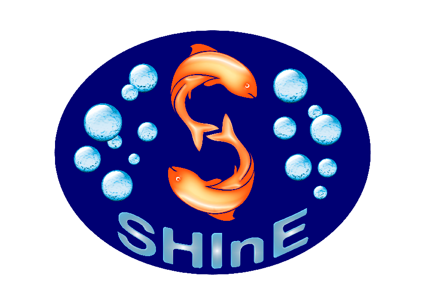 Shine logo