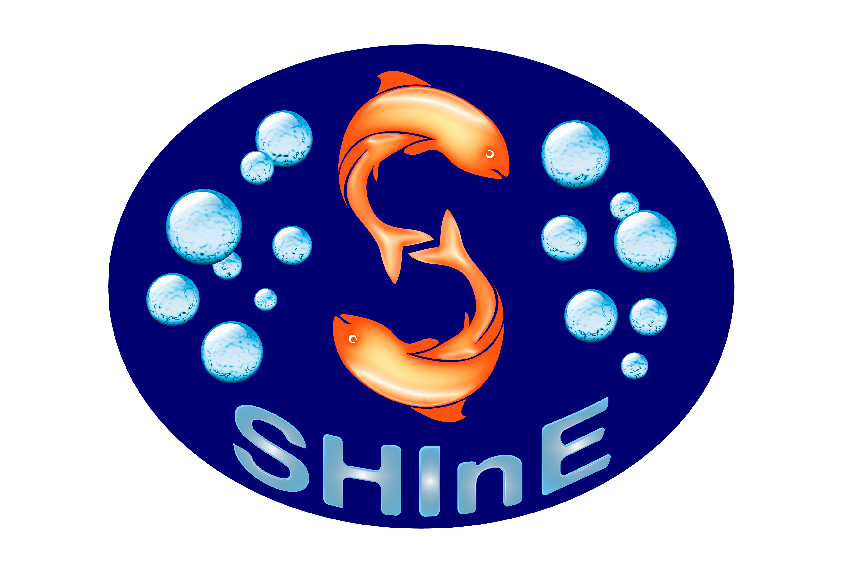 Shine logo