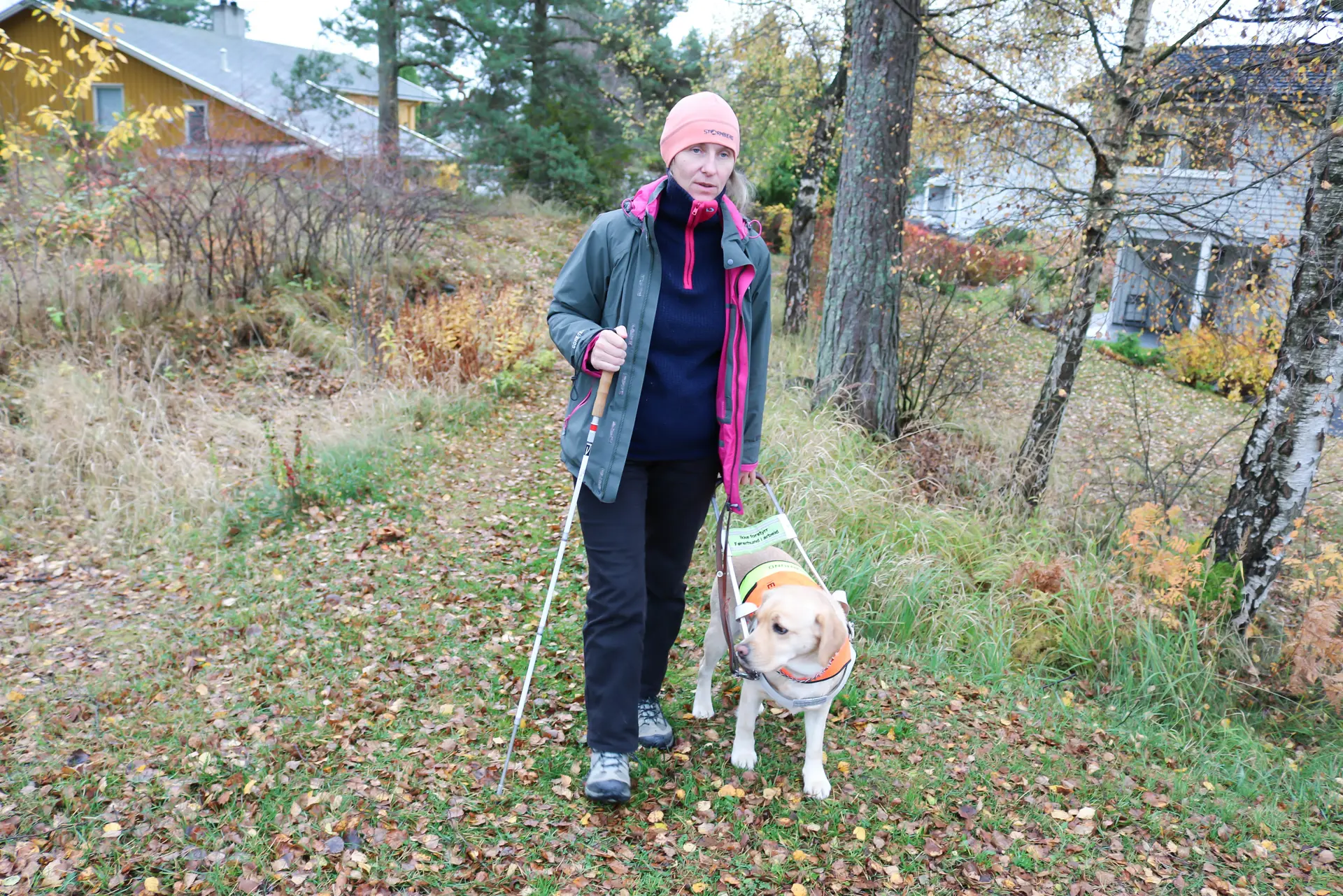 Høst i skogshage. Kvinne er ute og går med sin førerhund, i høyre hånd holder hun blindestokk. To hus kan skimtes i bakgrunnen