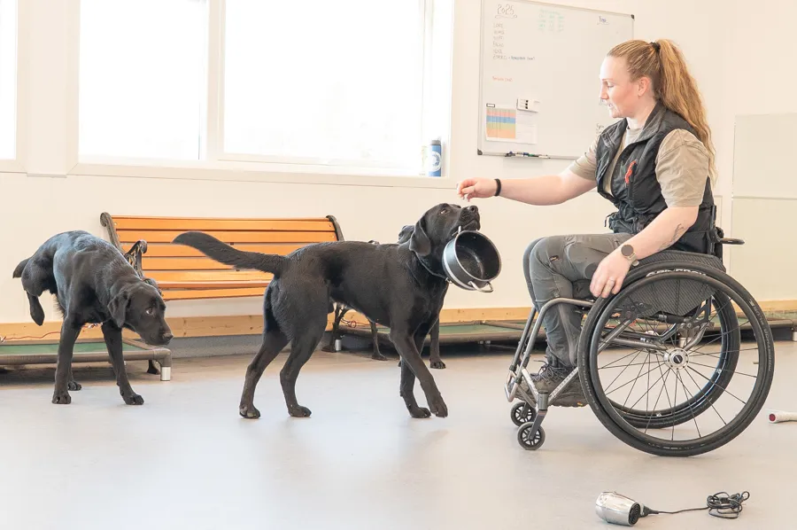 En person i rullestol med hund