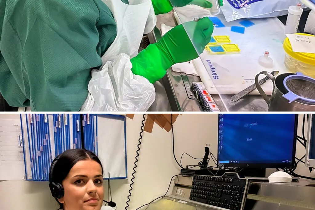 klinisk patologi sammensatt 3