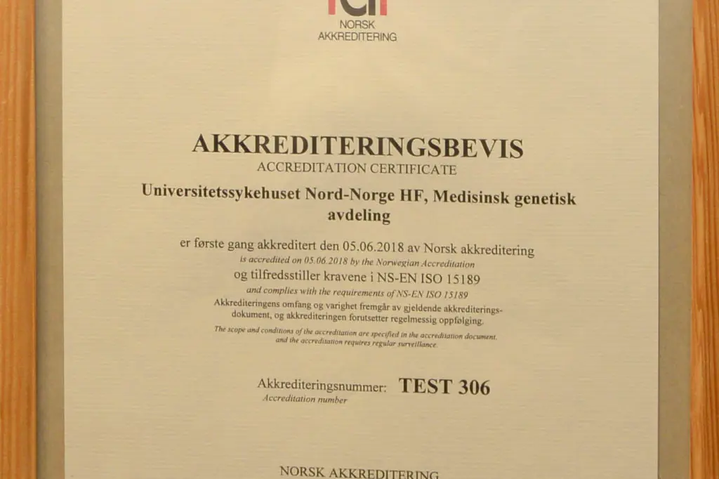 Tekst, brev