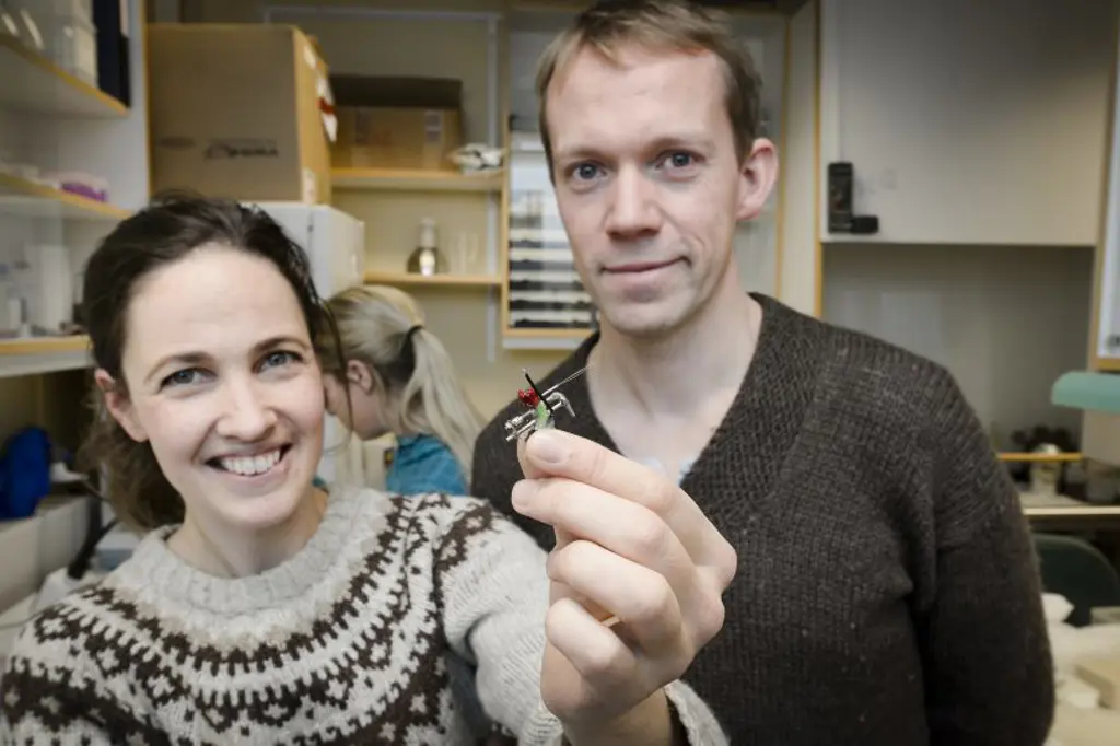 Har du sett en slik sensor før? Med den kan forskerne Kirsten Brun Kjelstrup og Vegard Heimly Brun lese av hvordan aktiviteten i hjernecellene påvirkes av hormoner. Foto: Jan Fredrik Frantzen