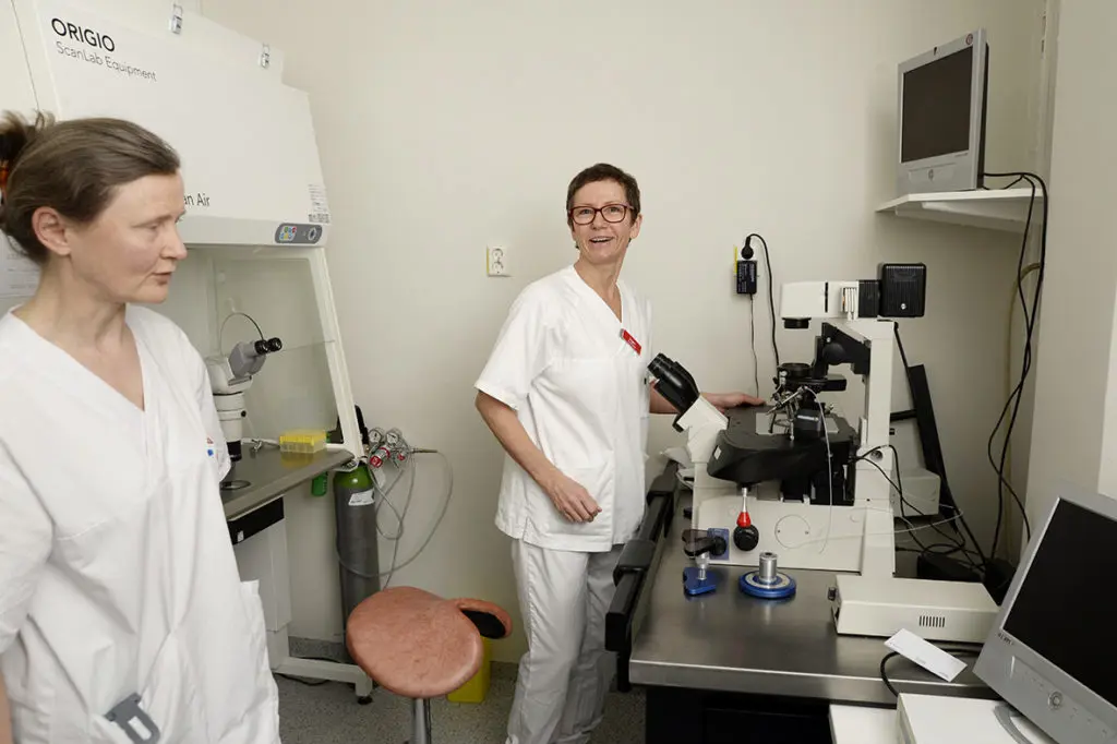 ivf