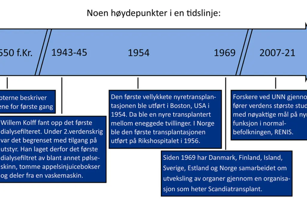 Tidslinje