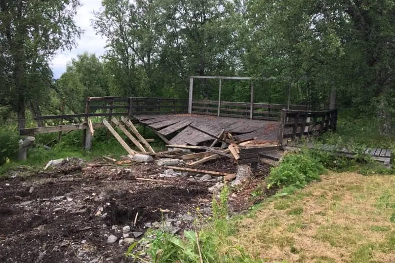 En trekonstruksjon i et skogkledd område