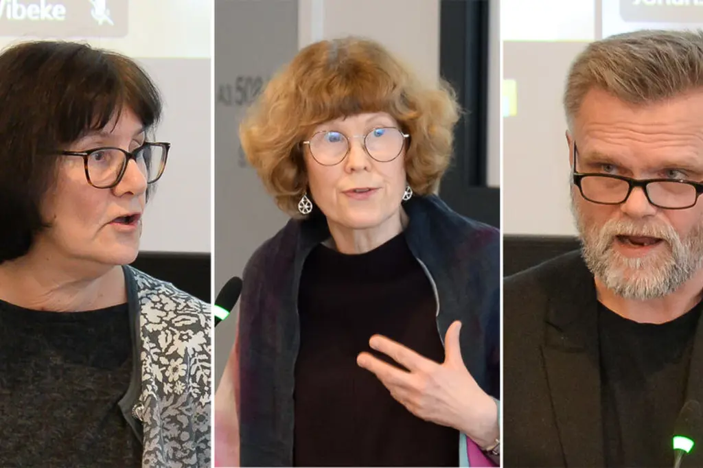 tillitsvalgte verneombud sammensatt