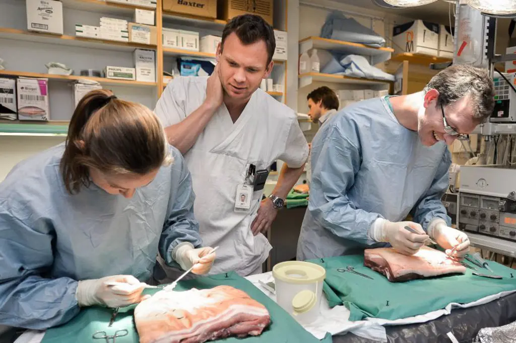 En gruppe mennesker i et laboratorium