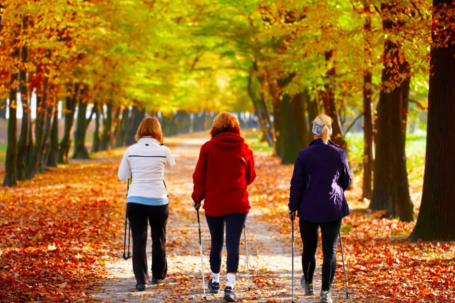 En gruppe mennesker som går på en sti i en skog