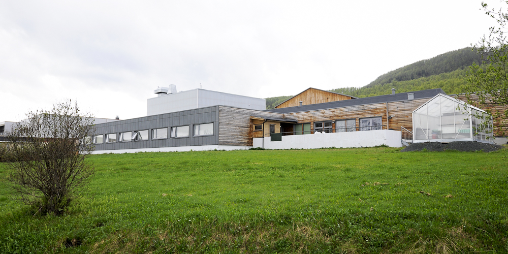 En bygning med gressbane