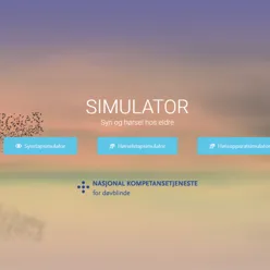 Et skjermbilde av simulatorer