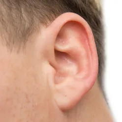 Et nærbilde av en persons øre